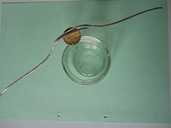 zum Versuch Muenze am Abgrund